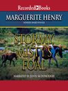 Cover image for Stormy, Misty's Foal